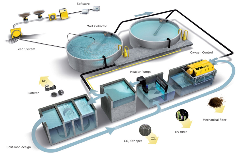 Teknologi RAS: Sistem Air Tertutup